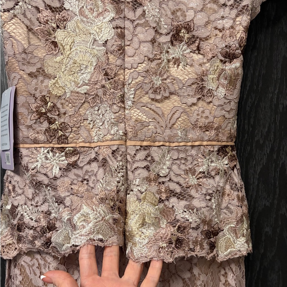 JS Collections Blush Color Lace Gown - Picture 8 of 16